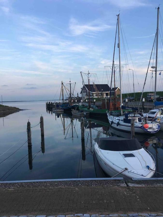 Vakantiehuisje In Ouddorp Dichtbij Het Strand Exterior foto