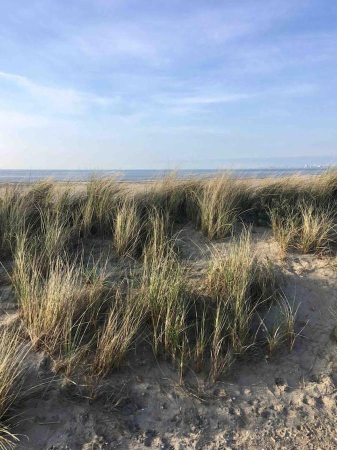 Vakantiehuisje In Ouddorp Dichtbij Het Strand Exterior foto